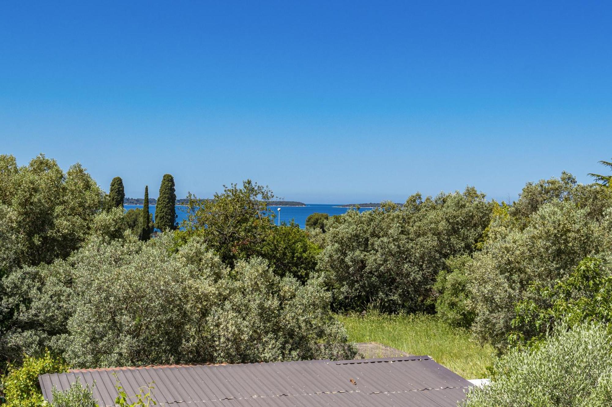 Apartment Nenad - Amazing Sea View ! Only 500 Meters From The Beach ! Fažana Extérieur photo